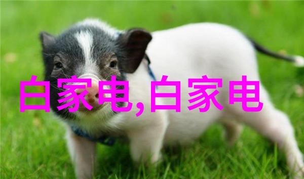 窗台用什么材料好 窗台如何装修呢